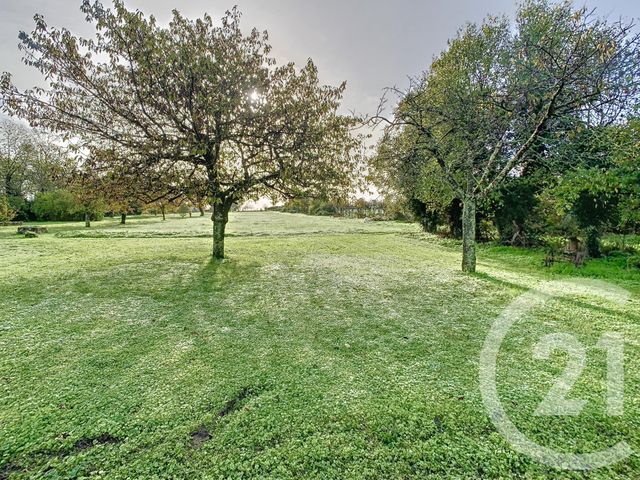 Terrain &agrave; vendre - 4008 m2 - Chateaubernard - 16 - POITOU-CHARENTES