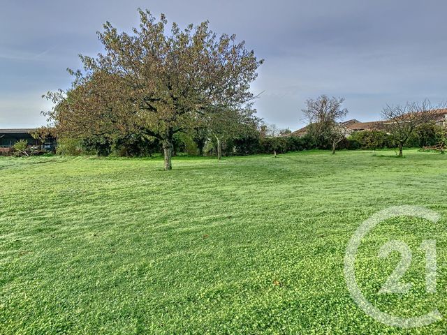 Terrain &agrave; vendre - 4008 m2 - Chateaubernard - 16 - POITOU-CHARENTES