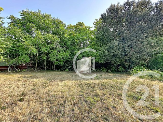 Maison &agrave; vendre - 7 pi&egrave;ces - 239 m2 - Juillac Le Coq - 16 - POITOU-CHARENTES