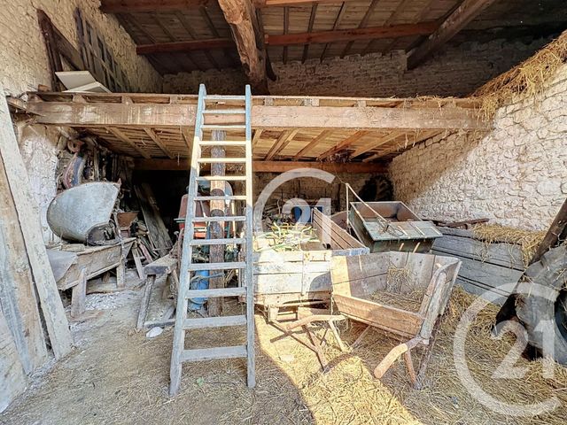 Maison &agrave; vendre - 7 pi&egrave;ces - 239 m2 - Juillac Le Coq - 16 - POITOU-CHARENTES