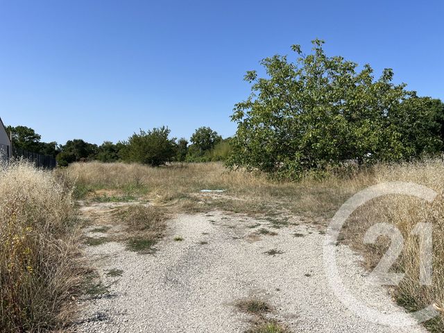 terrain - COURBILLAC - 16