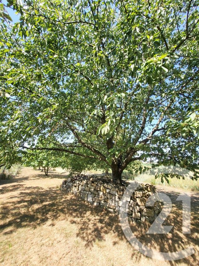 Maison &agrave; vendre - 5 pi&egrave;ces - 164,70 m2 - Saintes - 17 - POITOU-CHARENTES